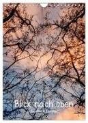 Blick nach oben (Wandkalender 2027 DIN A4 hoch) - CALVENDO Monatskalender