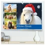 Kleine Pferde. Mini-Ponys zum verlieben (hochwertiger Premium Wandkalender 2027 DIN A2 quer) - Kunstdruck in Hochglanz